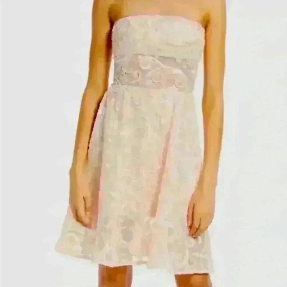 NWOT $268 SHO By Tadashi Sho Women's Pink Embroidered Fit & Flare Dress Size 12